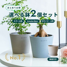 植木鉢 鉢 ecopots Amsterdam 6号 (S)【2個セット】 プラスチック + 天然石 鉢カバー おしゃれ 大型 プランター 軽い インテリア 北欧 鉢皿 付き お花 植物 観葉植物 アンドプランツ and plants ホワイト グレー ブルー ブラック 選べるカラー