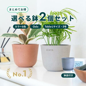 �A�ؔ� �� ecopots Oslo 5�� (Table-L)�y2�Z�b�g�z �v���X�`�b�N + �V�R�� ���J�o�[ ������� ��^ �v�����^�[ �y�� �C���e���A �k�� �I�X�� ���M �t�� ���� �A�� �ϗt�A�� �A���h�v�����c and plants 