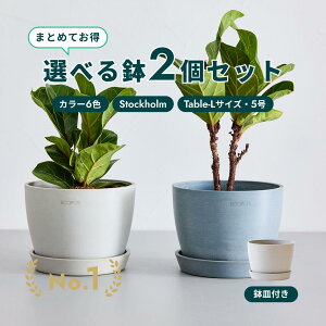 Aؔ  ecopots Stockholm 5 (Table-L)y2Zbgz vX`bN + VR Jo[  ^ v^[ y CeA k IX M t  A ϗtA Ahvc and pla