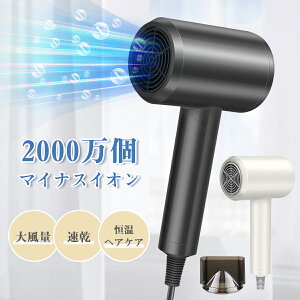 yzhC hC[ DRYER 啗 wAhC[ wA[hC[ }CiXCIhC[ Ɠd e Pی 1300W 2iKmYt wAPA c 邨 