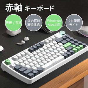 L[{[h Ԏ CX/L JjJ p\Rp Q[~OL[{[h zbgXbv pc @\ Ԏgp dp Q[p gp 2.4GBluetooth 5.3 Windows/Mac OSΉ v[