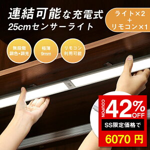 SS42%It6070~led ZT[Cg lZT[ A\ȐlZT[Cg 25cm×2 zsv  LEDCg o[Cg ^ USB[d   Ki N[[bg Q L