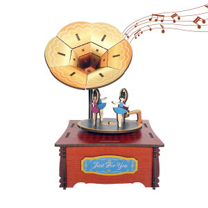 IS[ ̃pY 3D ؐpY DIY y{bNX gݗ ]IS[ vd|  Ebh Ntg ̎q l a Mtgi~@j