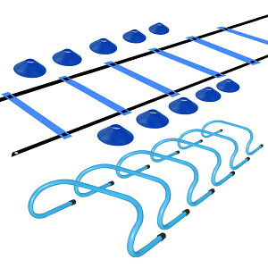 ハードルセット ミニハードル 6個 ラダー マーカーコーン10枚 トレーニングセット