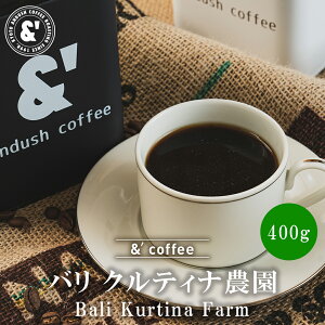 _ X[p[SALE 50%It ^ o NeBi_ 400g [ XyVeBR[q[  蓤 R[q[ ʔ s A_bVR[q[  LO v[g Mt