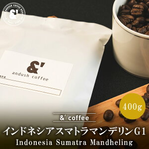 ChlVA X}g}fG1 400g [ 蓤 R[q[ ʔ lbg̔  R[q[ hbv  s R[q[[X^[ A_bVR[q[  LO 