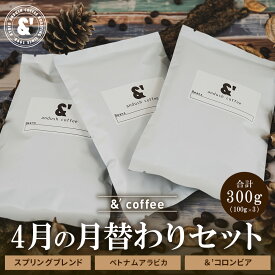 コーヒー豆 福袋 送料無料 珈琲豆 4月 月替わりセット 300g 約30杯分 焙煎後すぐ発送 コーヒー 豆