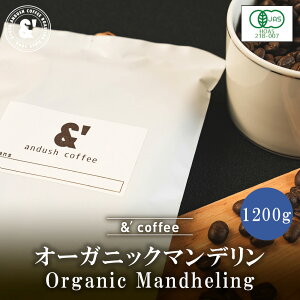 I[KjbN }f [ 1200g I[KjbNR[q[  蓤 R[q[ ʔ s A_bVR[q[  LO v[g Mtg