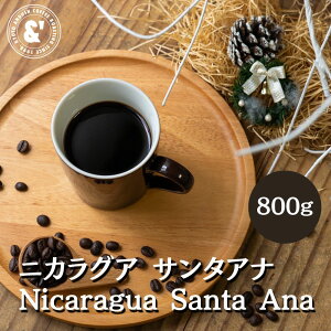 jJOA T^Ai 800g VeB[Xg 蓤  XyVeBR[q[ R[q[ ʔ s R[q[[X^[ A_bVR[q[  LO v[g Mt