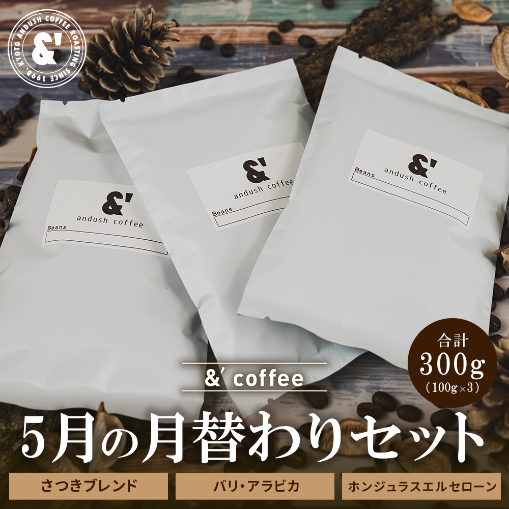 コーヒー豆 福袋 送料無料 珈琲豆 5月 月替わりセット 300g 約30杯分 焙煎後すぐ発送 コーヒー 豆