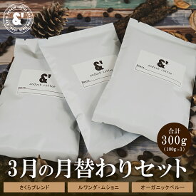 コーヒー豆 福袋 送料無料 珈琲豆 3月 月替わりセット 300g 約30杯分 焙煎後すぐ発送 コーヒー 豆