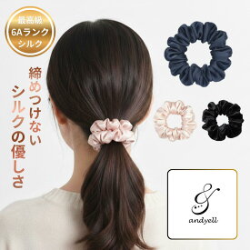 【ギフトに人気】 跡がつかない ヘアゴム シルク 100% 最高級 6Aランク 髪に優しい シュシュ 大人 跡がつかないヘアゴム 結び目 跡 痛くない ヘアアクセサリー プレゼント 実用的 母親 誕生日 20代 30代 40代 50代 女性 レディース 絹 送料無料