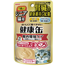 アイシア　シニア猫用　健康缶パウチ　腸内環境ケア　40g×★12個★　KCP-9