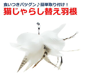 L炵 ւH ˂  lR L ^s XgX  nl ͂  x z  1lV