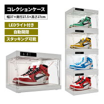 楽天市場】シューズ ショーケースの通販