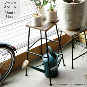 ySi|Cg10{!!z vcXc[ fBXvC Xc[  ԑ GCWOH  VR }S[ X`[ ACAA[ ubNACA k t[