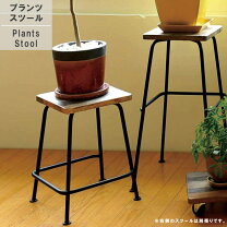 楽天市場】フラワースタンド アイアン（テイスト（インテリア 