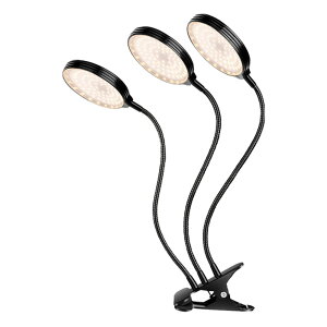 LEDA琬Cg 3 3 A琬Cg 10iK LED ACg A琬v ϗtApCg ͔|v 莞@\ ^C} ƕs A琬 k͔|v ƒ؉ 
