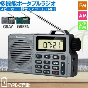 WI |PbgWI ^bluetooth@\t AM/FM ChFM gуWI hЃWI yvC[ Xs[J[ v ڊo܂v USB[d [^XCb` 2FI