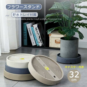 y3FZbgzt[X^h LX^[t v^[X^h  a29.5cm u  Aؔ u v[g tړԑ 󂯎Mt ~`  J360°]  r
