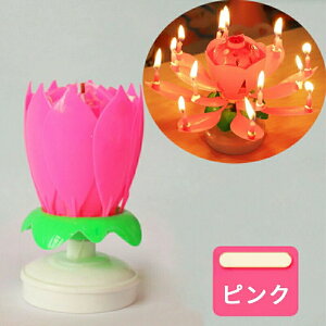 Lh 낤 @̉ p[eB[Lh P[LpLh C{[ o[Xf[ io[ Lh a LO j