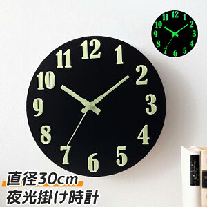 Ǌ|v  É  v 킢 Ȃ ₷ TCg EH[NbN Vv 30cm t@bV fUC CeA _ k Mtg V Q Lb` 