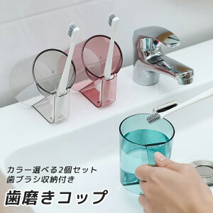 yJ[Iׂ2ZbgzRbv ؂  vX`bN R  ^u[  Rbv uV [ ؂ X^h}O  6.3x7.6x9cm