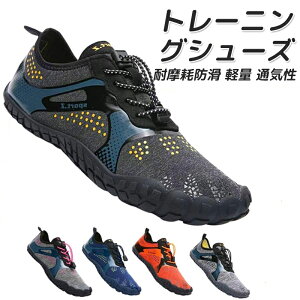 g[jOV[Y tBbglXV[Y W C fB[X Y ؃g xAtbg p X|[c