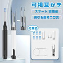 【楽天2位】耳かき カメラ付き 内視鏡付き耳かき カメラ付き耳かき ピンセット付き耳掻き ピンセット 防水 左右反転機…