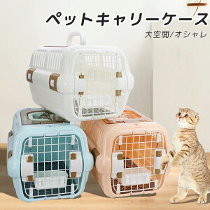  /傫 ybgL[obO ybgP[X L[obO LL[obO Lp p ybgp  INS lC ybgobO ybgpi яoh~ g~O 