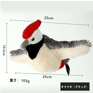 L    XgXU ^b`N  Lp lR A V ^s  L炵 dH΂ XY Ht  V~[V s Lǂ