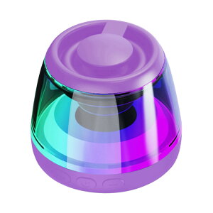 ���C�����X �X�s�[�J�[ bluetooth5.3 �|�[�^�u���X�s�[�J�[ Portable Mini ���^ TWS�ڑ��Ή� USB RGB���C�g ���C�z�� �A�E�g�h�A �����C �L�����v �o�b�e���[���� ���o�C�� ������ iPhone Android ������� p