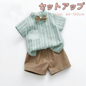 ZbgAbv j̎q xr[ 100% tH[} Vc V[gpc   lN^Ctxr[ ݕt XgCv Ԃ L