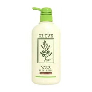 yyVubNtCf[JÒ!!Ԓ|Cg2{!!z{I[u i`}Ch wA X 500ml