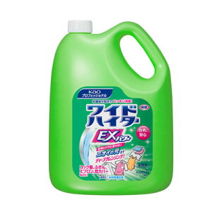 ԉ ChnC^[ EXp[ 4.5L Y