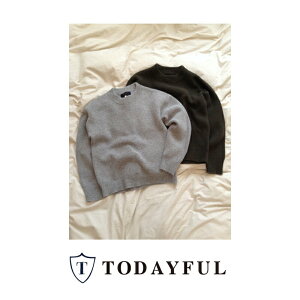 TODAYFUL�y�g�D�f�C�t���zLIFE's�y���C�t�Y�zBoild Wool Knit�y11520543�z�g�c�十�v���f���[�X�u�����h,LIFE'S,#203,�ʔ�,2015,WINTER