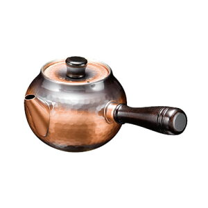 V@Ȗڋ}{ijԓdグBC-201