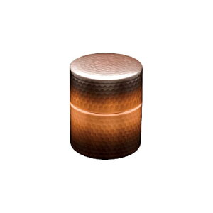 V@@ȖڒiԓdグjBC-206