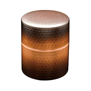 V@@ȖڒiԓdグjBC-213