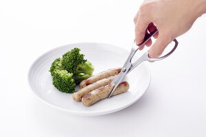 EAgCO/CCgR @Cutlery Hasami@Jg[nT~/nT~