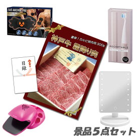 忘年会 二次会 景品5点セット 神戸牛霜降りカルビ肉 ボディパッド メイクアップミラー 他 パネル 目録 2次会 ビンゴ 景品 おもしろ 結婚式 懇親会 あす楽