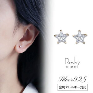 sAX AM[ Ή ςȂ sAX Ԃ   14k X^[   Vo[925 l  AM[Ή fB[X jbPt[ fC[ czWRjA 