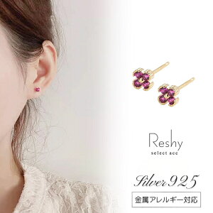 sAX AM[ Ή ςȂ sAX Ԃ  t[ r[J[    Vo[925 l  fB[X jbPt[ sN lt N[o[ W