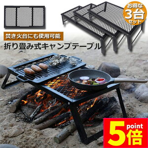 Ԍ|Cg5{AEghAe[u 3Zbg Lv e[u ΃e[u 55×30cm ܂肽 tB[hbN Lvpi tbV~je[u X`[ tB[