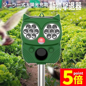 |Cg5{ }\Z[ފ Qbފ g tbVCg x L͈ ZT[ \[[ z USB[d h 5[h L  lY~  Qb 悯 ȒP ݒu K[