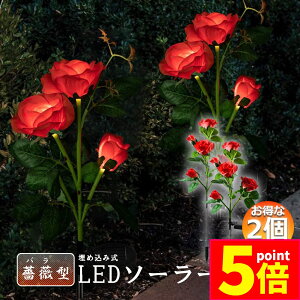 Ԍ|Cg5{\[[Cg O K[fCg 胉Cg 2Zbg ߍݎ h  ZT[ LEDK[fCg ߍݎ     Ő [YC