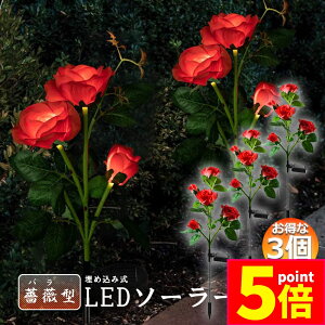 Ԍ|Cg5{\[[Cg O K[fCg 胉Cg 3Zbg ߍݎ h  ZT[ LEDK[fCg ߍݎ     Ő [YC