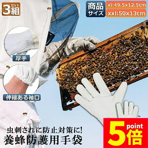 Ԍ|Cg5{{Ip hO[u Ɨp _炩rv 3gZbg K[fjOO[u  v | t[TCY OO[u I Ȋ 쏜 Q쏜  