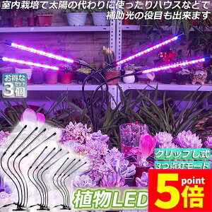 P5{ X[p[Z[A琬Cg A琬v LEDA琬 3Zbg ͔|v 3Ɩ[h 9iK ϗtA 4wbhCg 5v ON/OFF /k͔|v ^C}