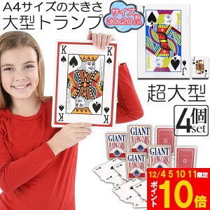 Ԍ!|Cg5{10{gv rbN gv 4Zbg ^ 傫 A4TCY gv gvJ[h   Vlz[ NG[V i oo x 唗 v